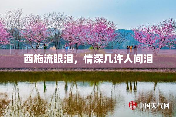 西施流眼泪，情深几许人间泪