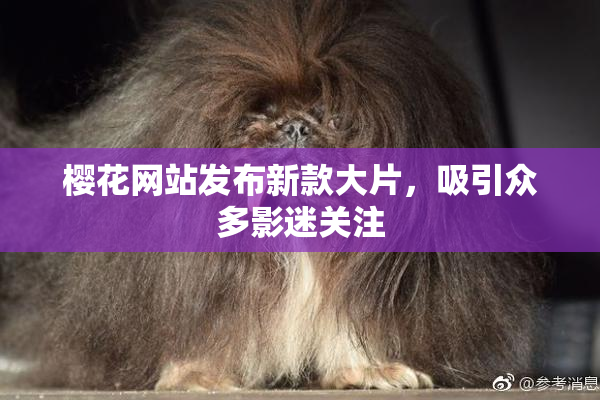樱花网站发布新款大片，吸引众多影迷关注