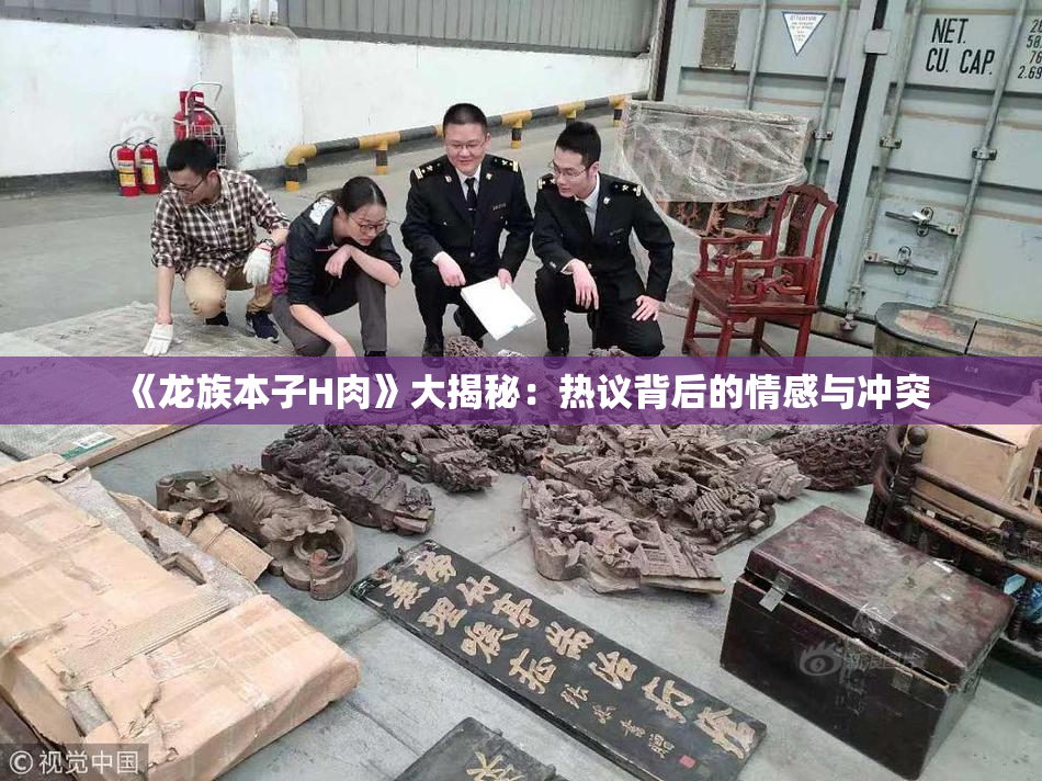 《龙族本子H肉》大揭秘：热议背后的情感与冲突