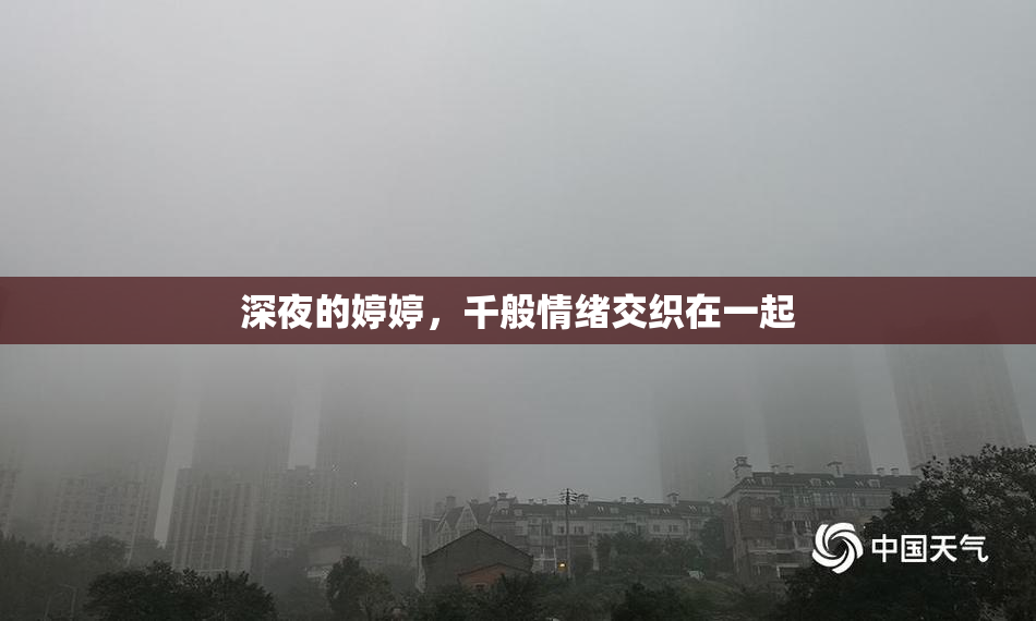 深夜的婷婷，千般情绪交织在一起