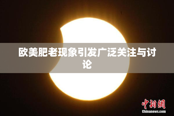 欧美肥老现象引发广泛关注与讨论