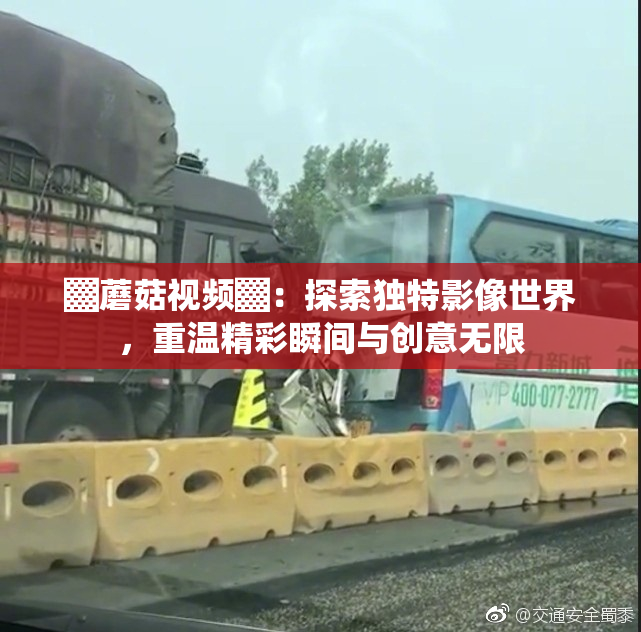 ▓蘑菇视频▓：探索独特影像世界，重温精彩瞬间与创意无限