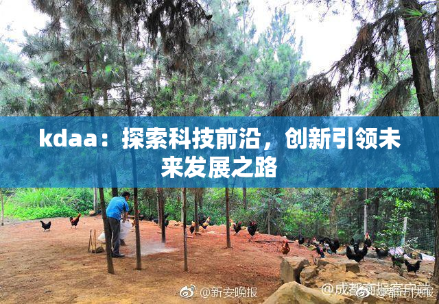 kdaa：探索科技前沿，创新引领未来发展之路