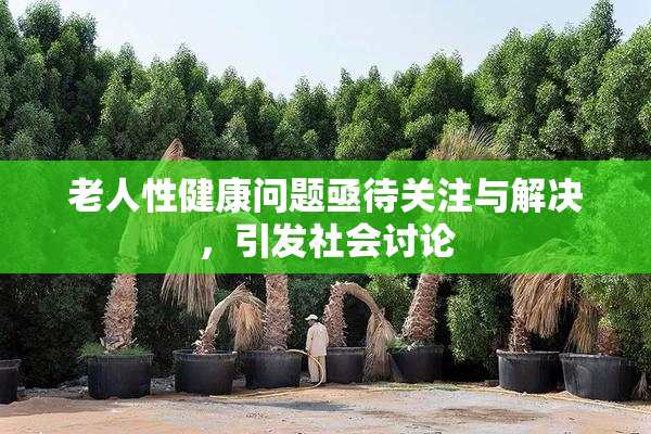 老人性健康问题亟待关注与解决，引发社会讨论