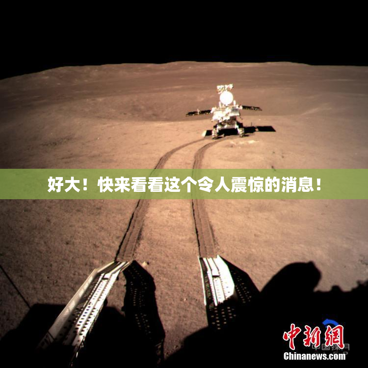 好大！快来看看这个令人震惊的消息！