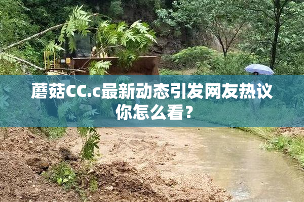蘑菇CC.c最新动态引发网友热议 你怎么看？