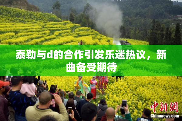 泰勒与d的合作引发乐迷热议，新曲备受期待