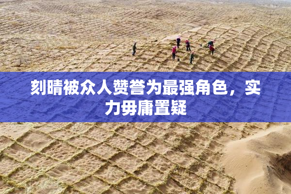 刻晴被众人赞誉为最强角色，实力毋庸置疑
