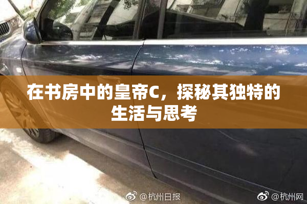 在书房中的皇帝C，探秘其独特的生活与思考