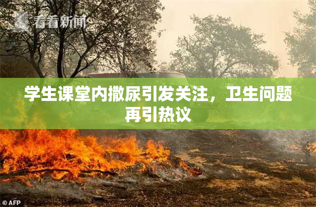 学生课堂内撒尿引发关注，卫生问题再引热议