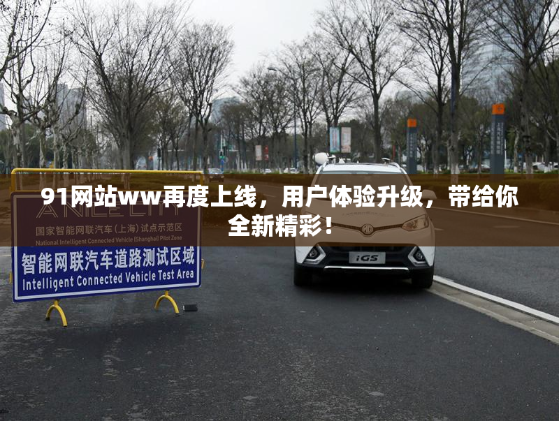 91网站ww再度上线，用户体验升级，带给你全新精彩！