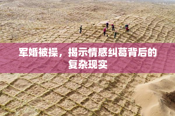 军婚被操，揭示情感纠葛背后的复杂现实