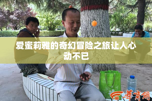 爱蜜莉雅的奇幻冒险之旅让人心动不已