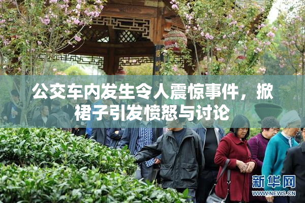 公交车内发生令人震惊事件，掀裙子引发愤怒与讨论