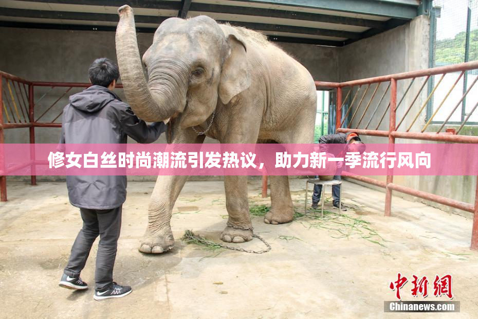 修女白丝时尚潮流引发热议，助力新一季流行风向