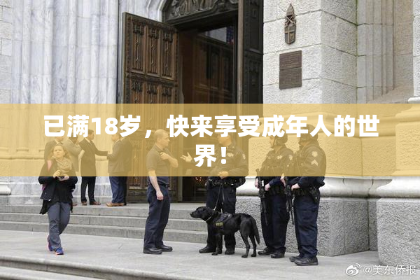 已满18岁，快来享受成年人的世界！