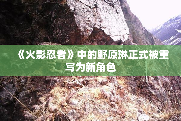 《火影忍者》中的野原琳正式被重写为新角色