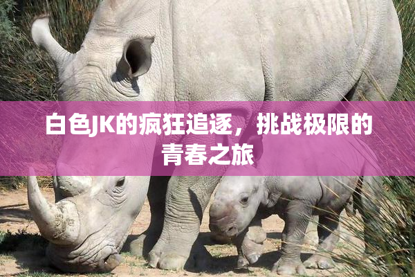 白色JK的疯狂追逐，挑战极限的青春之旅