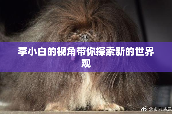李小白的视角带你探索新的世界观