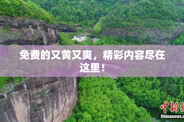 免费的又黄又爽，精彩内容尽在这里！