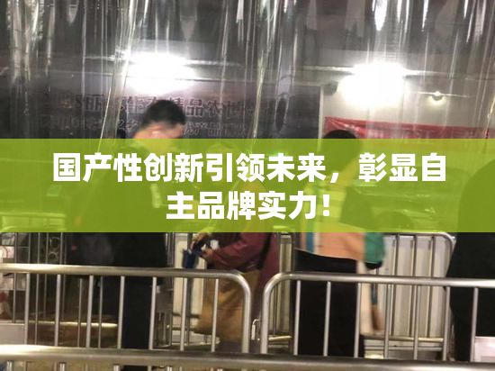 国产性创新引领未来，彰显自主品牌实力！