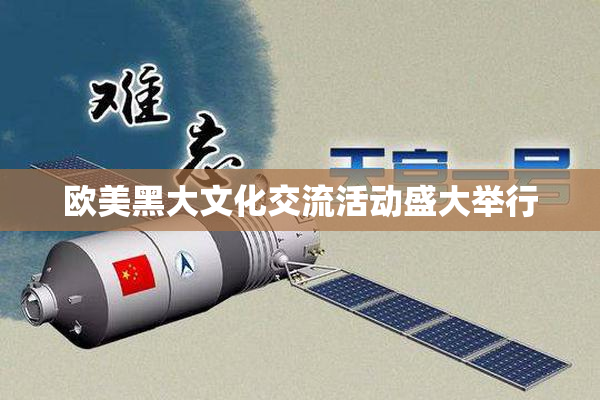 欧美黑大文化交流活动盛大举行