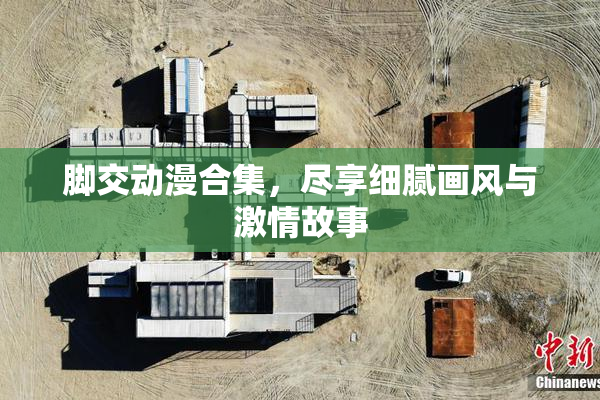 脚交动漫合集，尽享细腻画风与激情故事