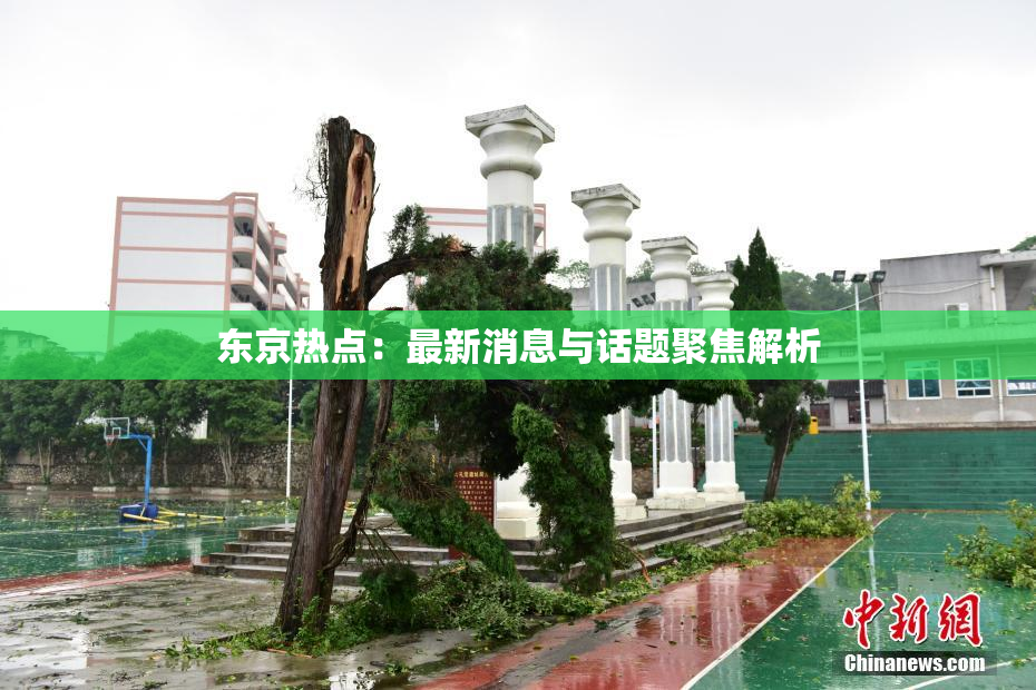 东京热点：最新消息与话题聚焦解析