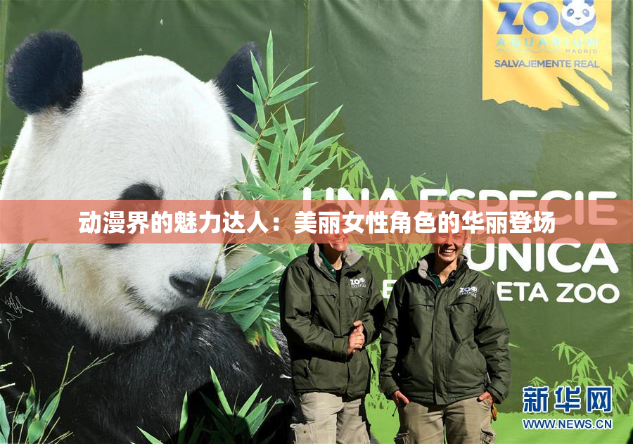 动漫界的魅力达人：美丽女性角色的华丽登场