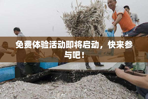 免费体验活动即将启动，快来参与吧！