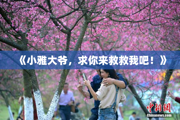 《小雅大爷，求你来救救我吧！》