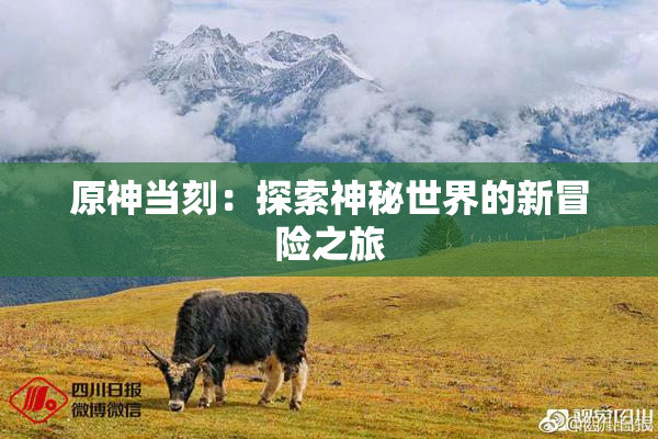 原神当刻：探索神秘世界的新冒险之旅