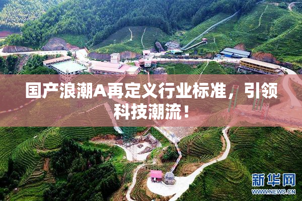 国产浪潮A再定义行业标准，引领科技潮流！