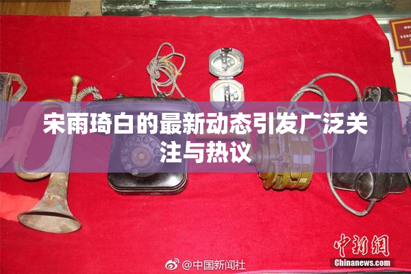 宋雨琦白的最新动态引发广泛关注与热议