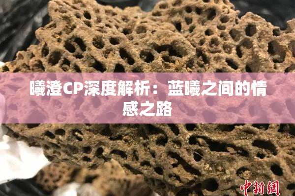 曦澄CP深度解析：蓝曦之间的情感之路