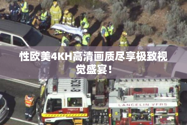 性欧美4KH高清画质尽享极致视觉盛宴！