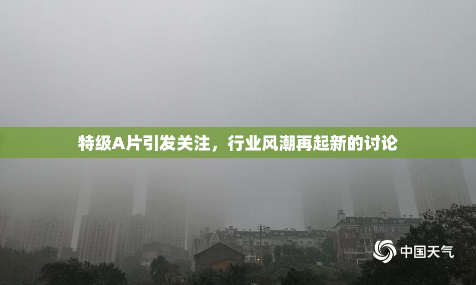 特级A片引发关注，行业风潮再起新的讨论