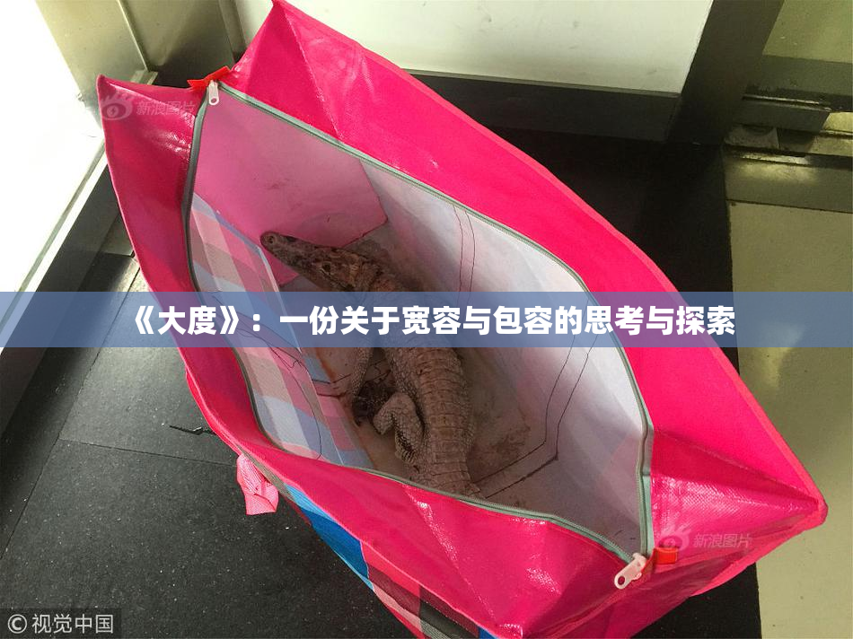 《大度》：一份关于宽容与包容的思考与探索