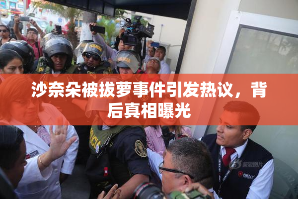 沙奈朵被拔萝事件引发热议，背后真相曝光