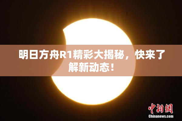 明日方舟R1精彩大揭秘，快来了解新动态！