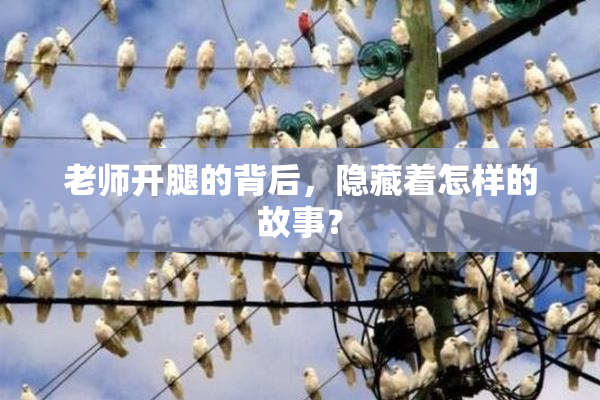 老师开腿的背后，隐藏着怎样的故事？