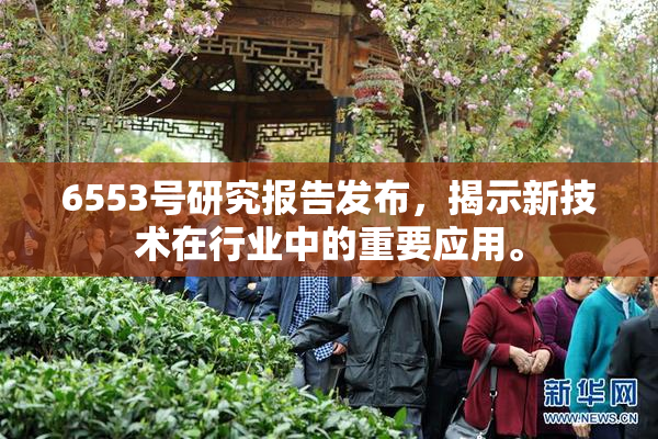6553号研究报告发布，揭示新技术在行业中的重要应用。