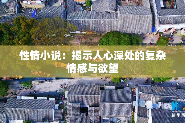 性情小说：揭示人心深处的复杂情感与欲望