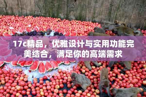 17c精品，优雅设计与实用功能完美结合，满足你的高端需求