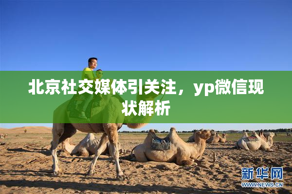 北京社交媒体引关注，yp微信现状解析