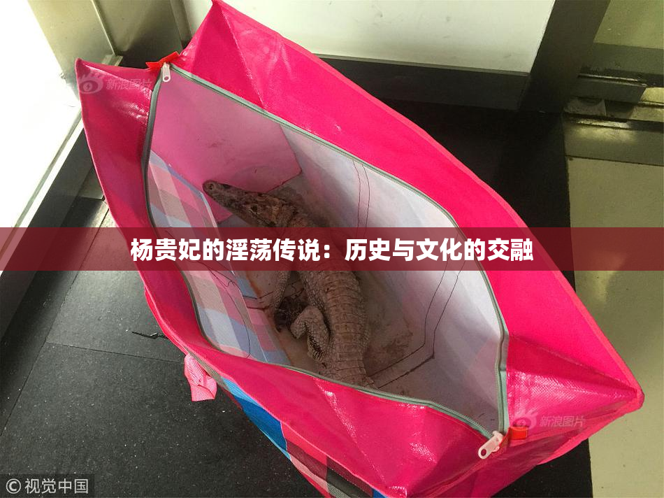 杨贵妃的淫荡传说：历史与文化的交融
