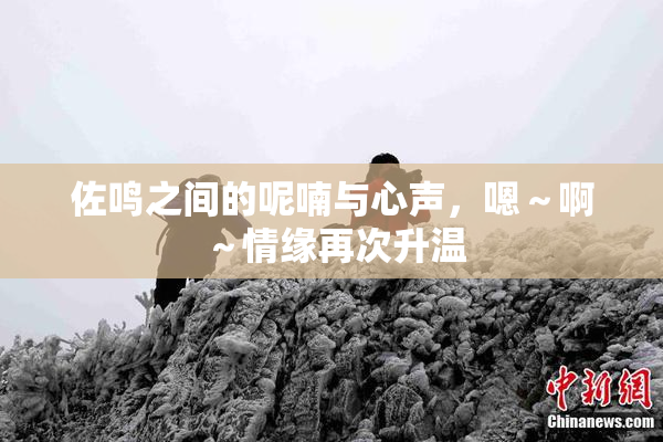 佐鸣之间的呢喃与心声，嗯～啊～情缘再次升温