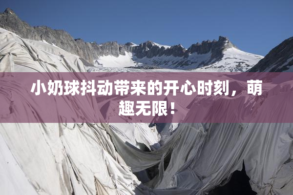 小奶球抖动带来的开心时刻，萌趣无限！