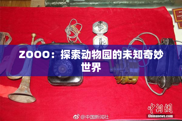 ZOOO：探索动物园的未知奇妙世界