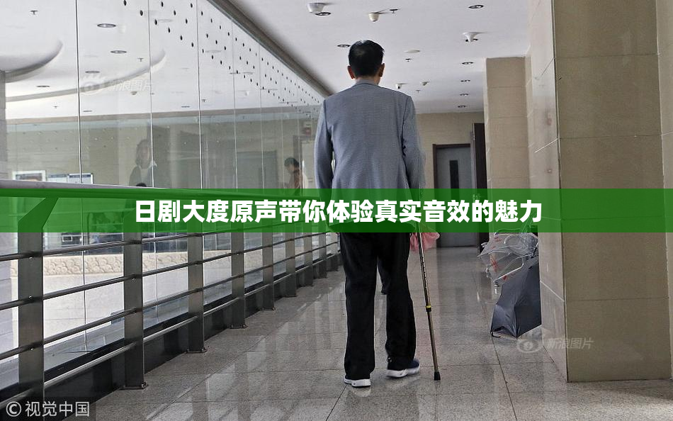 日剧大度原声带你体验真实音效的魅力